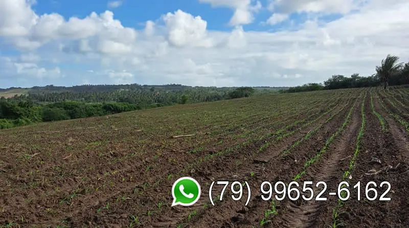 Alugo terreno 22 hectares para usina solar Sergipe Nordeste