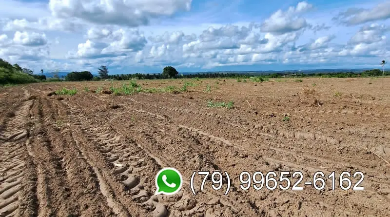 Alugo terreno 22 hectares para usina solar Sergipe Nordeste