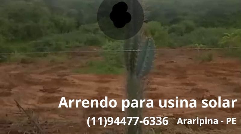 Usina Solar em Araripina-PE: Terreno Ideal