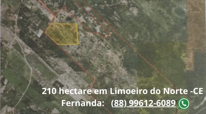 Alugo 210 hectares para usina solar em Limoeiro do Norte, CE