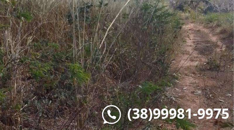 aluguel terreno usina solar 78 hectares japonvar mg,lado br 135 02