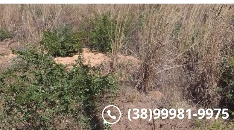 aluguel terreno usina solar 78 hectares japonvar mg,lado br 135 03