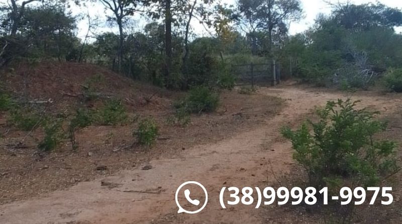 aluguel terreno usina solar 78 hectares japonvar mg,lado br 135