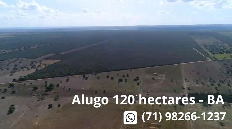 Alugo 120 Hectares para Energia Solar em Ribeira do Amparo - Bahia