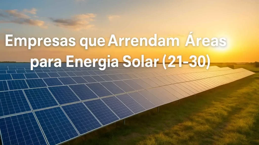 Empresas que Arrendam Áreas para Energia Solar (21-30)