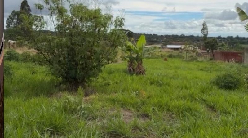 terreno recanto das emas df