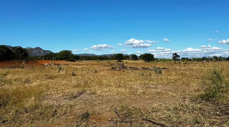 Alugue Terreno de 2,5 Hectares em Livramento de Nossa Senhora - BA
