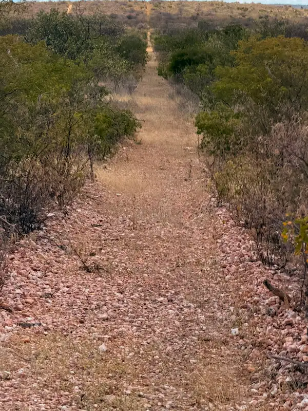 Rio São Francisco